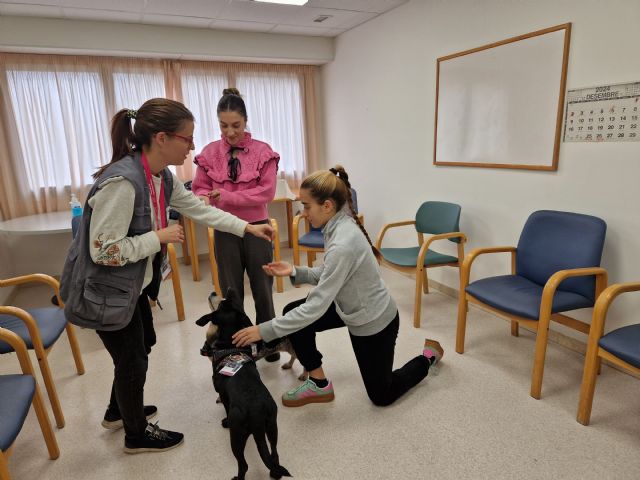 MútuaTerrassa y Nestlé Purina unen fuerzas para impulsar las terapias asistidas con perros en el Hospital Universitari MútuaTerrassa - 1, Foto 1