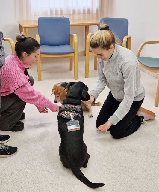 MútuaTerrassa y Nestlé Purina unen fuerzas para impulsar las terapias asistidas con perros en el Hospital Universitari MútuaTerrassa - 2, Foto 2