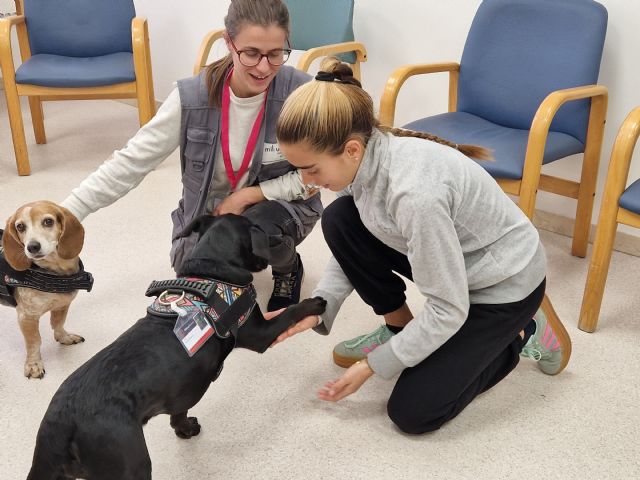 MútuaTerrassa y Nestlé Purina unen fuerzas para impulsar las terapias asistidas con perros en el Hospital Universitari MútuaTerrassa - 3, Foto 3