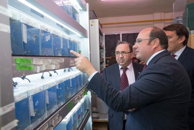 Pedro Antonio Sánchez: Nuestra fortaleza y la palanca de futuro de la Región de Murcia está en nuestras universidades - 1, Foto 1