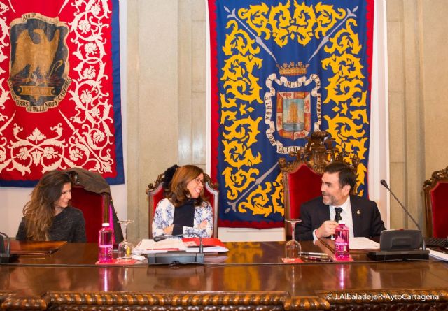Nueva sesion maratoniana del pleno del Ayuntamiento de Cartagena - 1, Foto 1