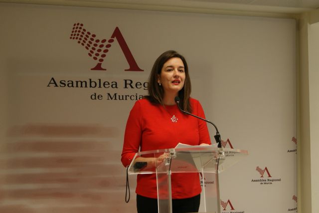 El PSOE propone un Plan nacional contra el acoso escolar incluido en el Pacto por la Educación - 1, Foto 1