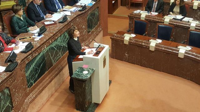 Podemos pide no fallar a los vecinos del Noroeste y luchar por echar para atrás el Vertedero - 1, Foto 1