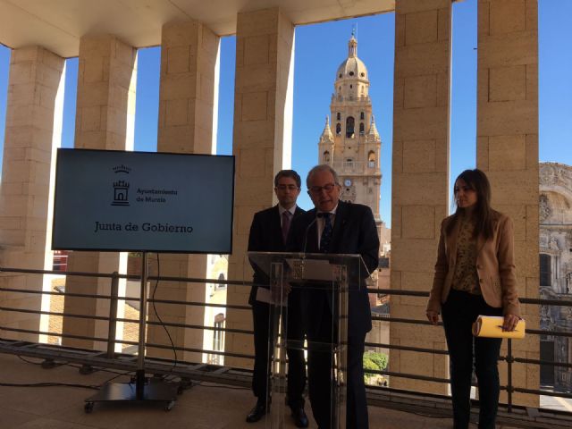 El Ayuntamiento de Murcia prepara la nueva campaña para combatir el mosquito tigre en el municipio - 1, Foto 1