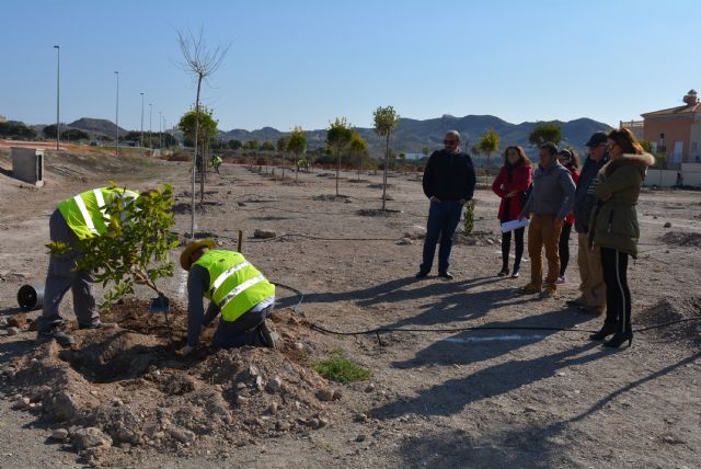 Avanzan los trabajos para la creación de un gran pulmón verde en el entorno de la circunvalación de Águilas - 1, Foto 1