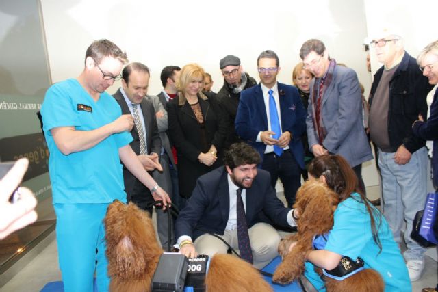 D´Genes inaugura en Murcia el Centro Multidisciplinar de Atención Integral a Personas y Familias con Síndrome X Frágil y otras Enfermedades Raras Pilar Bernal - 3, Foto 3