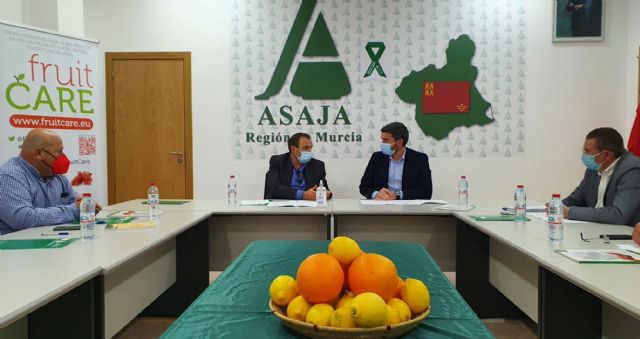 La Comunidad constituirá en marzo la Mesa del cítrico para defender los intereses del sector - 1, Foto 1