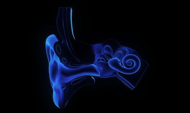 Foto: <a href=https://sp.depositphotos.com/ rel=nofollow target=_blank>Depositphotos</a>, Foto 1