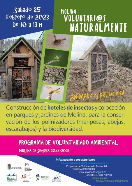 El Programa de Voluntariado Ambiental ¡Molina, Voluntari@s Naturalmente! propone la colaboración en la conservación de los polinizadores con la construcción y colocación de hoteles de insectos en parques de Molina de Segura el sábado 25 de febrero - 1, Foto 1