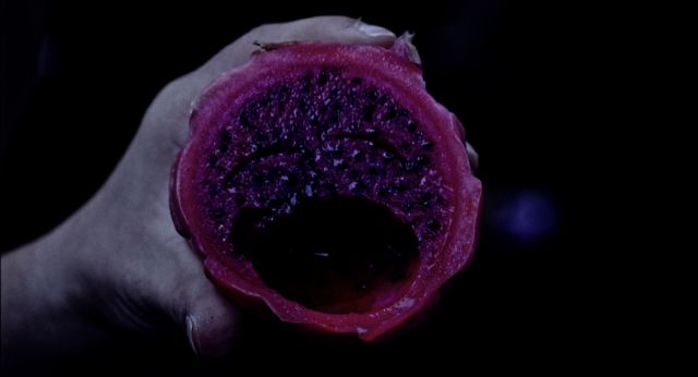 Diez largos y 12 cortos competirán en la Sección Oficial del IBAFF 13 - 3, Foto 3