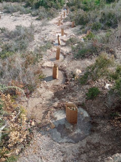 La Comunidad avanza en la restauración ambiental y mejora de infraestructuras en el entorno de Cabo Cope - 2, Foto 2