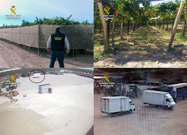 Los Equipos ROCA han detenido o investigado a cerca de un millar de personas por robos en fincas y granjas de la Región, Foto 7