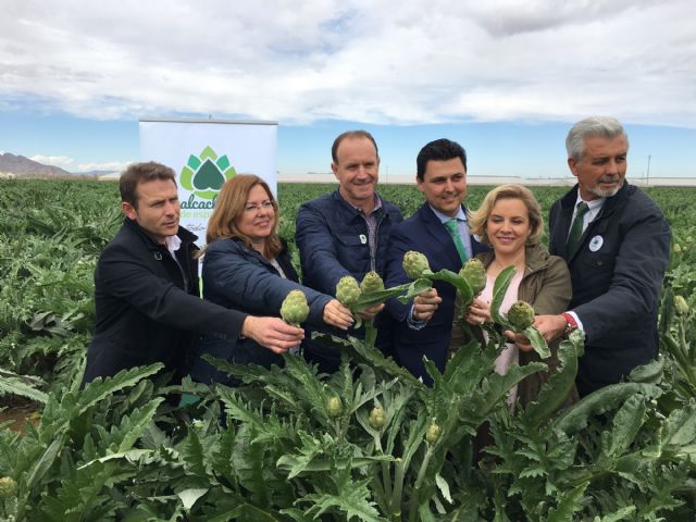 San Javier se convierte en capital de la alcachofa por un día - 1, Foto 1