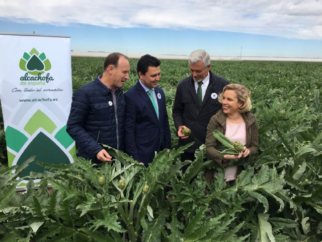 San Javier se convierte en capital de la alcachofa por un día - 4, Foto 4