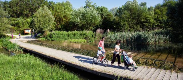 El ayuntamiento fomentará la movilidad peatonal en el municipio tras el acuerdo del pleno - 1, Foto 1