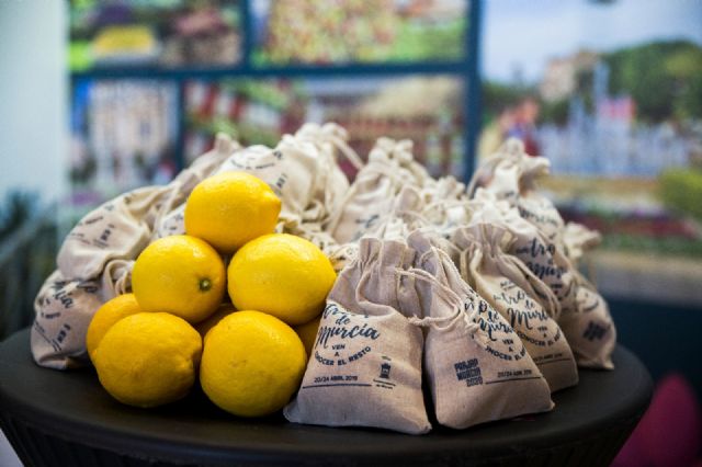 Murcia se presenta en Santander como sede nacional de la jardinería en 2020 - 3, Foto 3