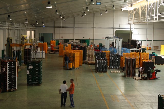 Medidas de movilidad para transporte a centros de manipulado y explotaciones agrícolas - 1, Foto 1