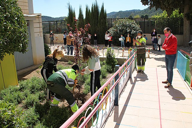 El alcalde asiste al acto del Día del Árbol organizado por la Concejalía de Medio Ambiente - 1, Foto 1