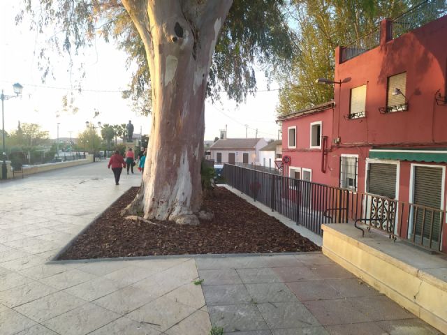 El Ayuntamiento restaura un tramo del muro del Malecón dañado por las raíces de un eucalipto junto a la Aljufía - 3, Foto 3