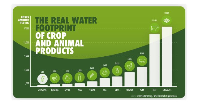 En la Semana del Agua, el aguacate se consolida como uno de los alimentos más sostenibles y con menor huella hídrica - 1, Foto 1