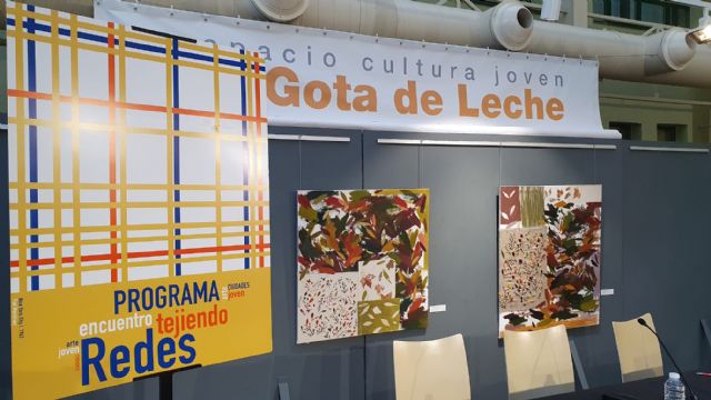Murcia participa en el II Encuentro Nacional de intercambio juvenil 'Tejiendo Redes' - 2, Foto 2