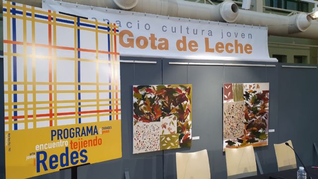 Murcia participa en el II Encuentro Nacional de intercambio juvenil 'Tejiendo Redes' - 2, Foto 2