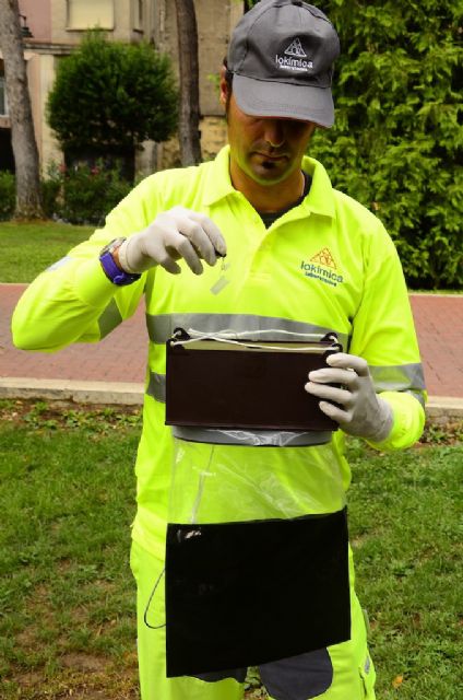 La oruga procesionaria: una plaga que hay que combatir durante todo el año y no solo cuando llega la primavera - 2, Foto 2