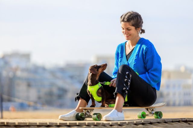 Playas que permiten el acceso a perros - 2, Foto 2