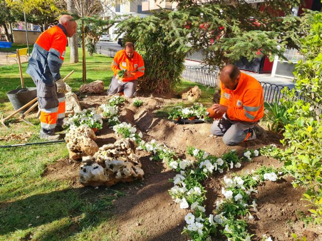 Coincidiendo con la llegada de la primavera, el Ayuntamiento de Caravaca repuebla los jardines con más de 2.000 flores - 2, Foto 2
