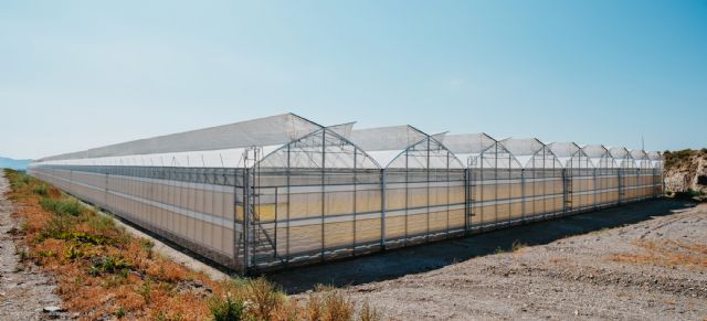 El mayor invernadero construido en Espa&ntilde;a en un solo modulo - 2, Foto 2