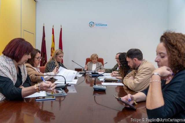 La Comisión de Sugerencias y Reclamaciones registra una media mensual de 45 expedientes, con mayor incidencia en verano - 1, Foto 1