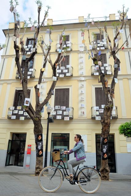 El Museo Ramón Gaya viste la Plaza de Santa Catalina con portadas de ´El Quijote´ y retratos de Cervantes para celebrar el Día del Libro - 2, Foto 2