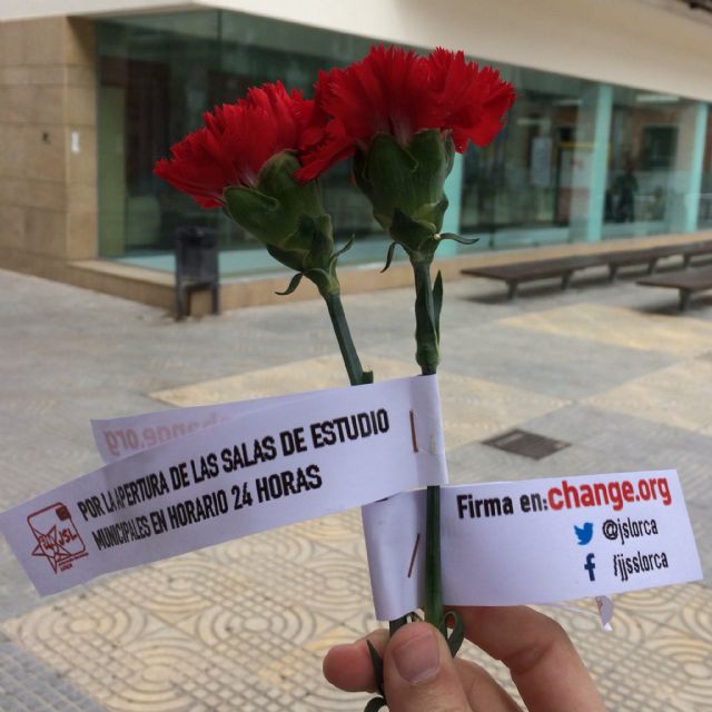 200 claveles rojos por la apertura de las salas de estudio en horario 24 horas en Lorca - 3, Foto 3