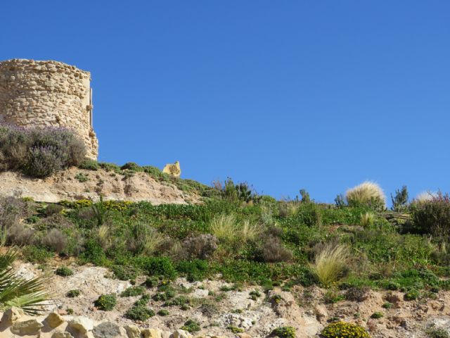 Ciudadanos pedirá explicaciones en el próximo Pleno por el abandono del Parque Arqueológico del Molinete - 5, Foto 5