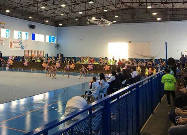 Gran fiesta de la gimnasia rítmica en el XIV Torneo Ayuntamiento de Las Torres de Cotillas - 5, Foto 5