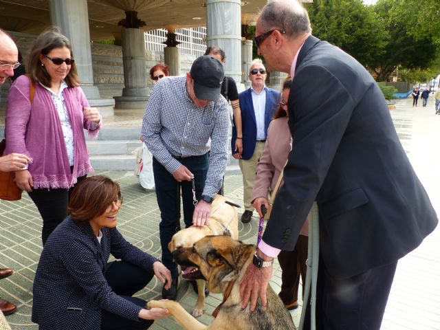 La Asamblea conmemora el Día Internacional del Perro Guía - 2, Foto 2