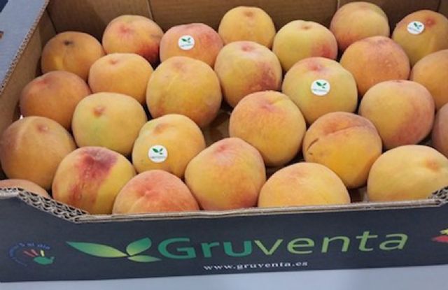 GRUVENTA prevé como “muy positiva” la próxima campaña de fruta de hueso - 1, Foto 1