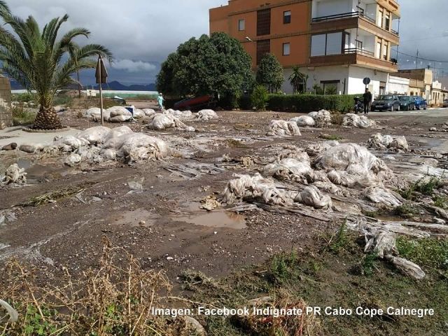 IU critica que la “interesada” falta de control esté convirtiendo a nuestras costas en un vertedero - 1, Foto 1
