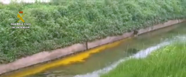 La Guardia Civil denuncia al gerente de una empresa de Murcia por unos vertidos ilícitos a un azarbe - 4, Foto 4