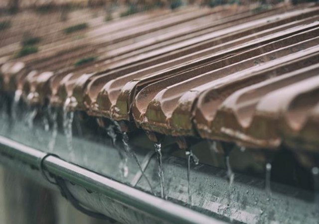 ¿El coronavirus trae más lluvia? - 1, Foto 1