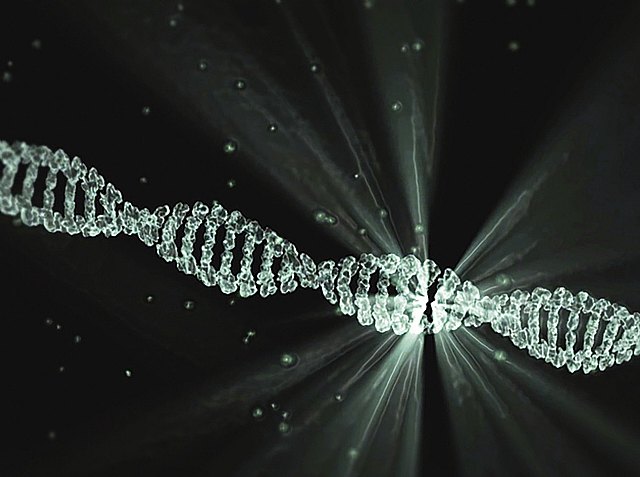 Día mundial del ADN: la Genómica una herramienta clave en la batalla contra la Covid-19 - 1, Foto 1