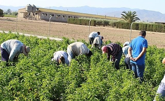 Conflicto agroalimentario en Murcia y coronavirus - 2, Foto 2