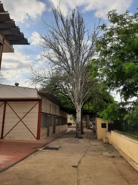 Somos Lorca denuncia  el lamentable estado de conservación y mantenimiento del antiguo colegio y sus aledaños de La Hoya - 2, Foto 2