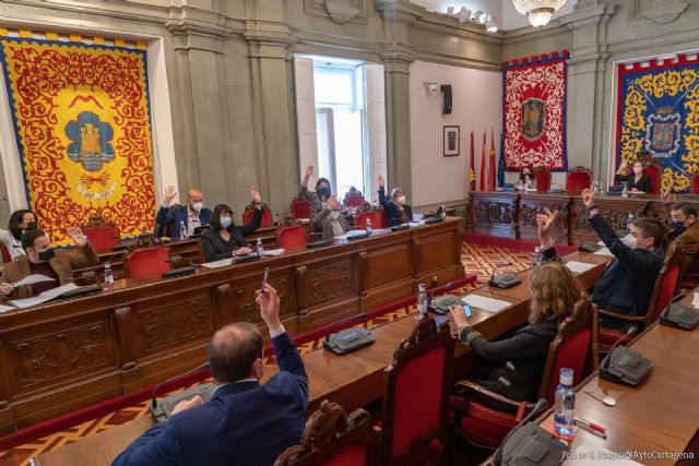 El Pleno reclama para los ayuntamientos el 15 por ciento de los fondos que reciban las comunidades autónomas por la Crisis del COVID19 - 1, Foto 1