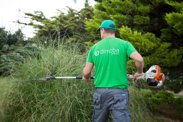 Dimoba realizará las labores de jardinería de la sede del Instituto Andaluz de la Mujer en Almería - 1, Foto 1
