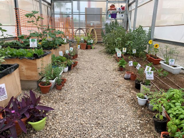 Educación y Medioambiente se dan la mano en el Día de la Tierra - 1, Foto 1