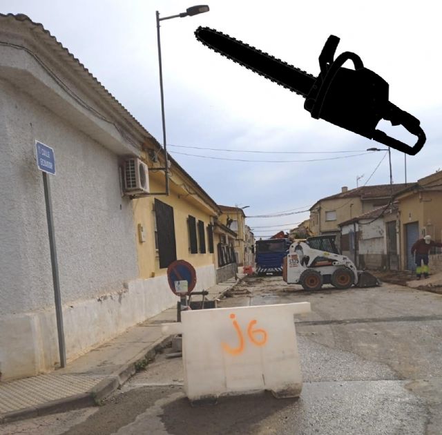 PP: El Equipo de Desgobierno PSOE-Ciudadanos de Las Torres de Cotillas arrasa con el verde - 1, Foto 1