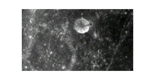 ¿Es la luna un satélite artificial? nº 3 - 2, Foto 2