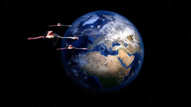 Hola Tierra, ¿cómo estas? - 1, Foto 1