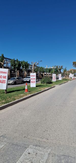 Movilización vecinal para salvar las moreras de la calle Industria - 1, Foto 1